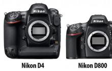 Принципиальное отличие полнокадровых и кропнутых фотоаппаратов
